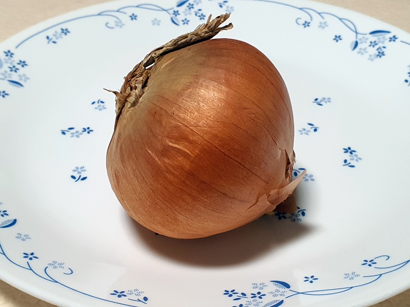 양파사진